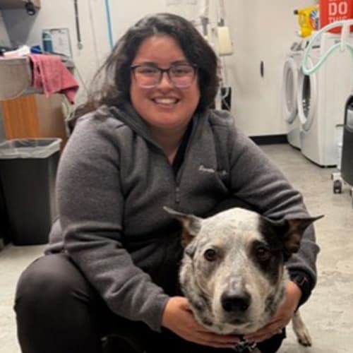 Dr. Daniela Sumano, San Diego Veterinarian